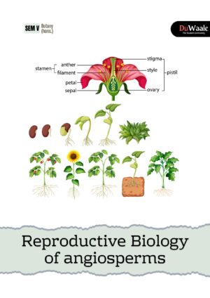 Reproductive Biology of angiosperms (botany hons.)